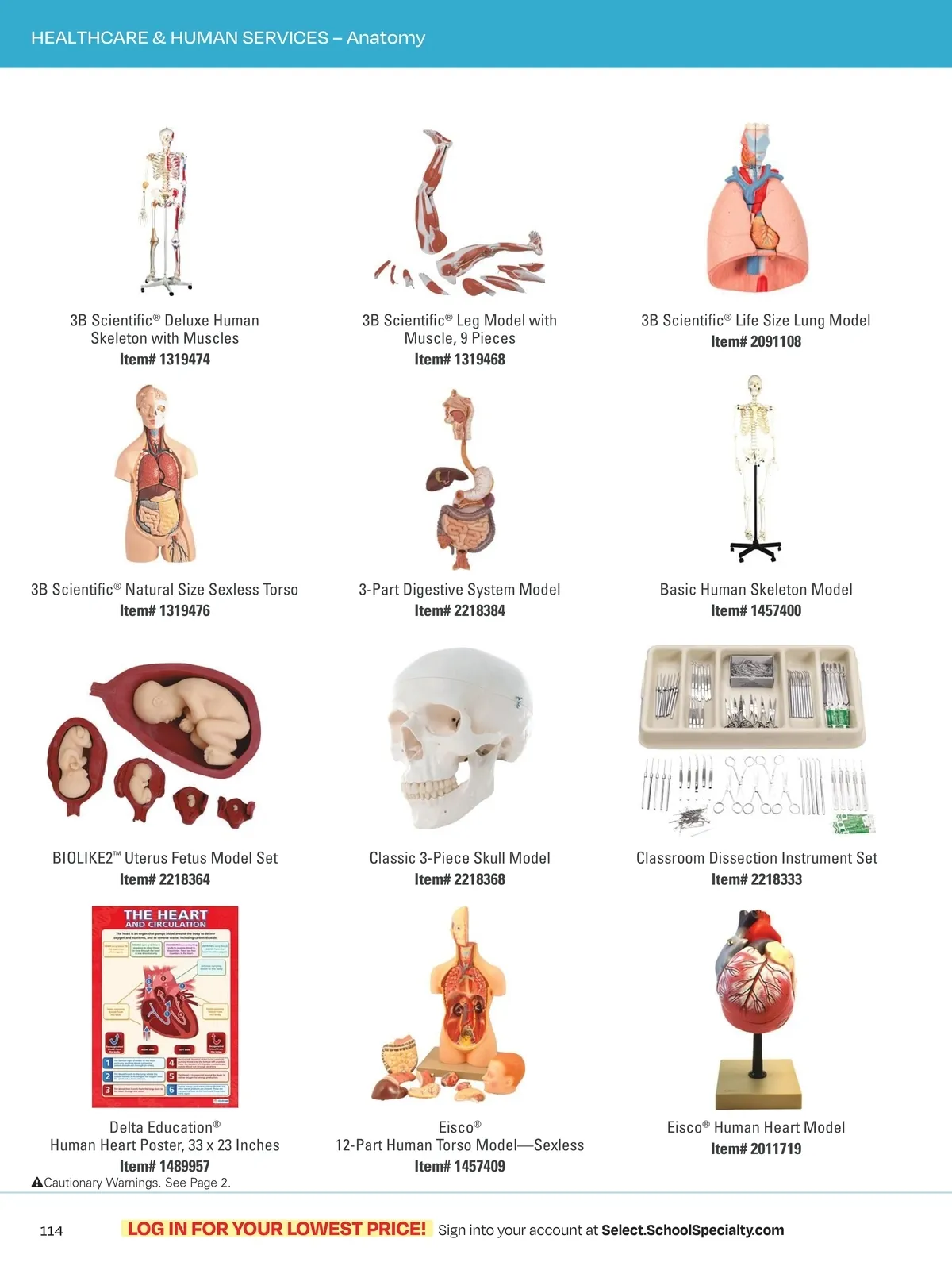 Flyer page 117