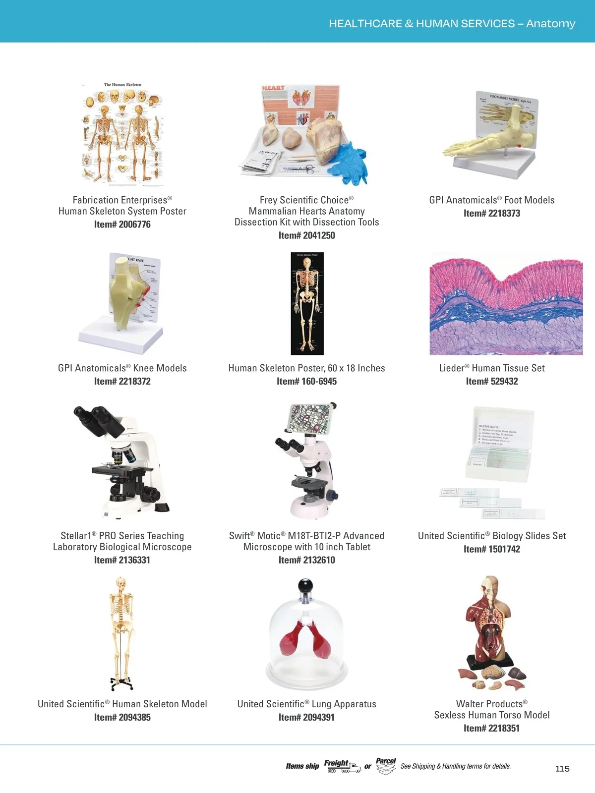 Flyer page 118