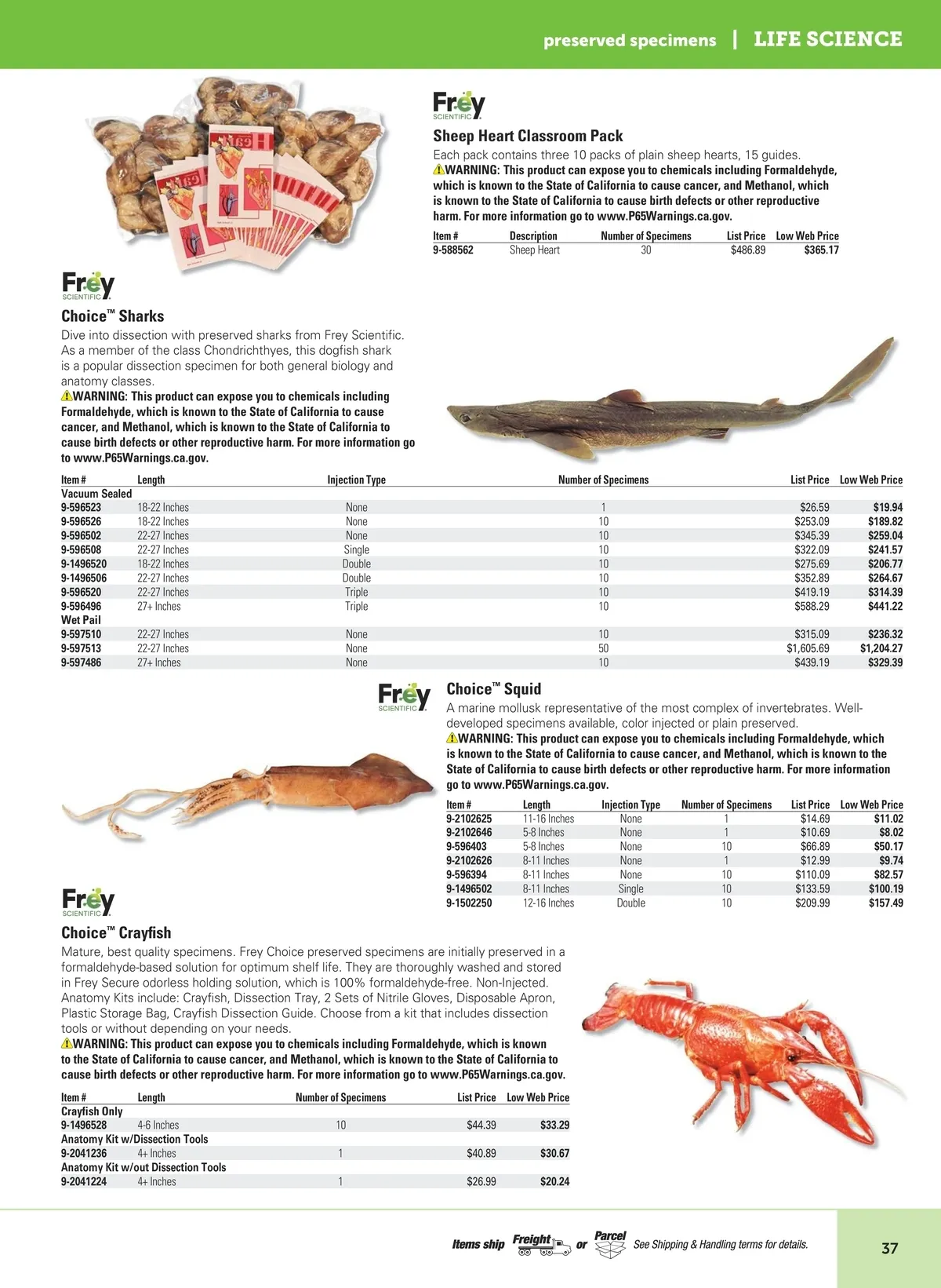 Flyer page 39