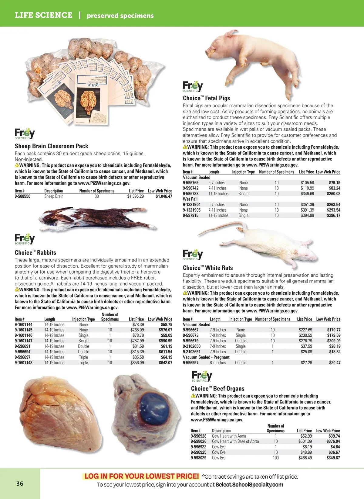 Flyer page 40