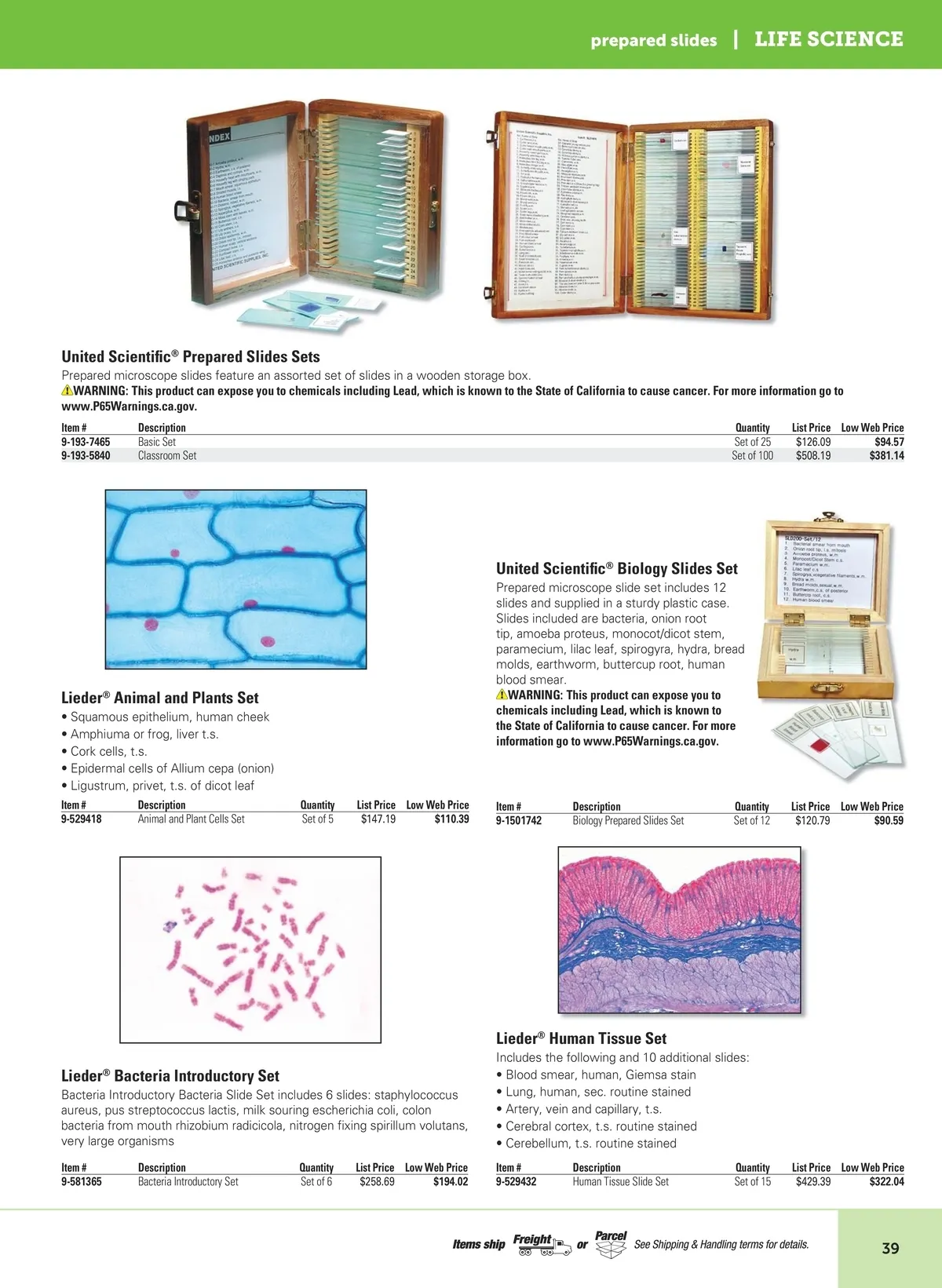 Flyer page 41