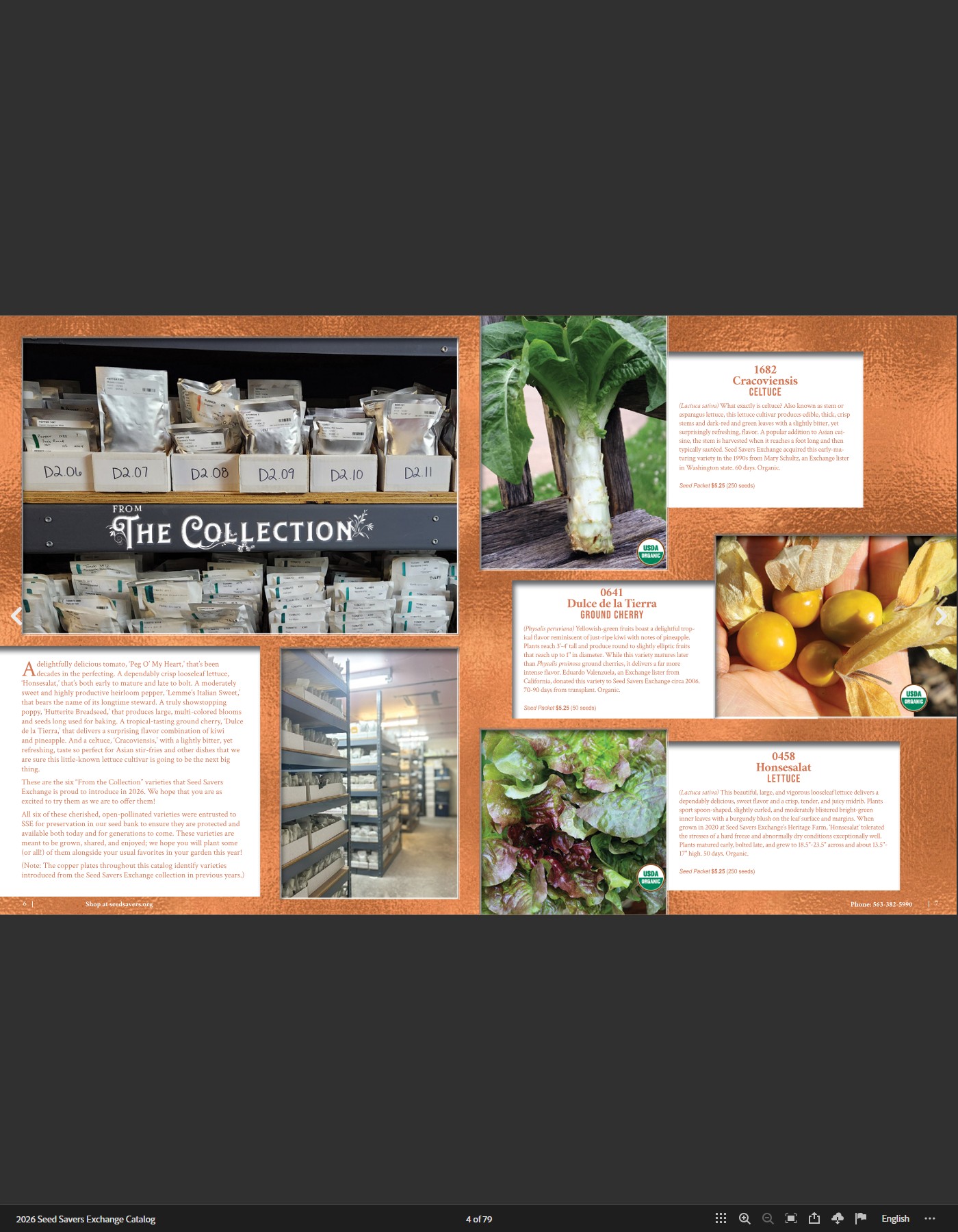 Flyer page 4