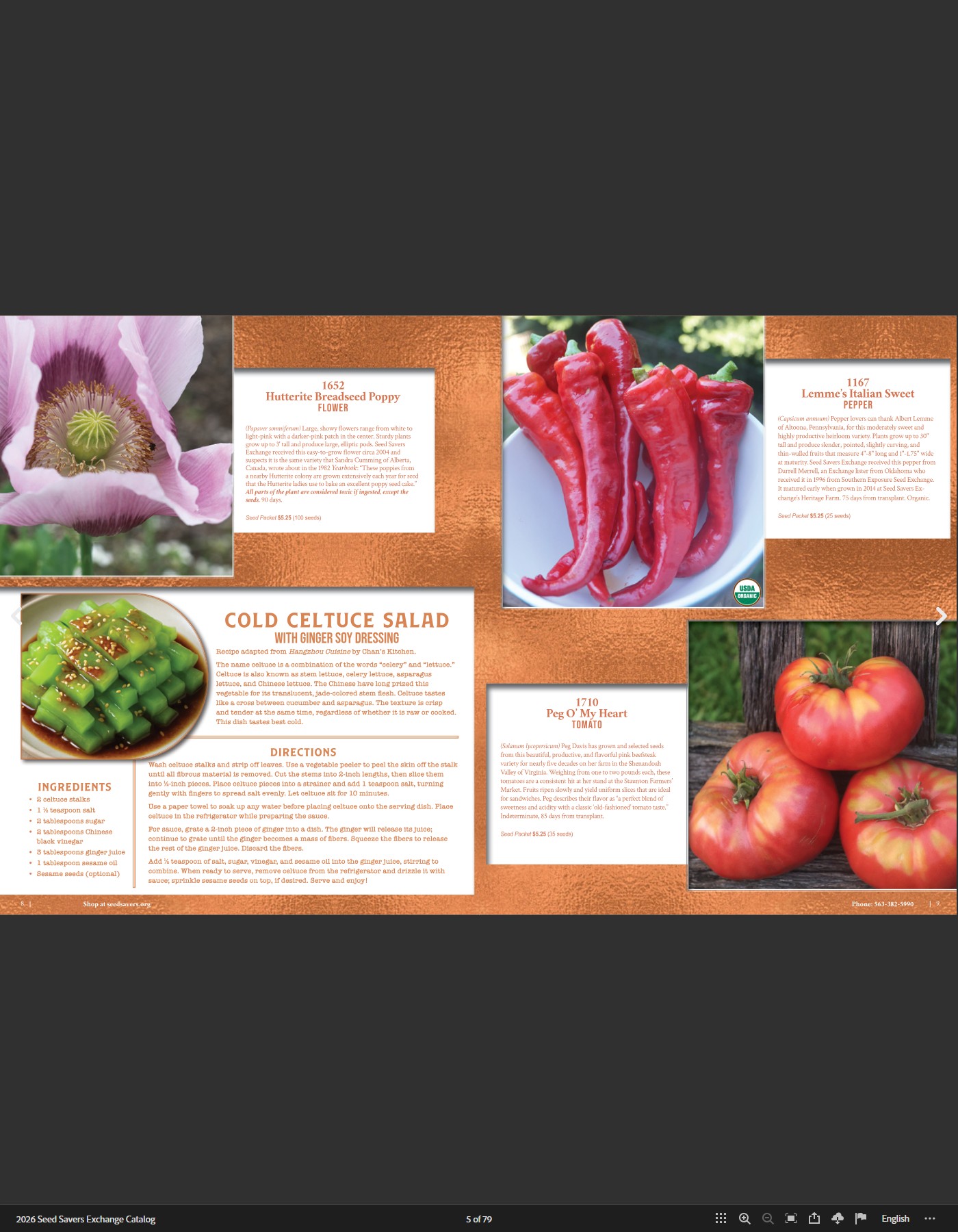 Flyer page 5