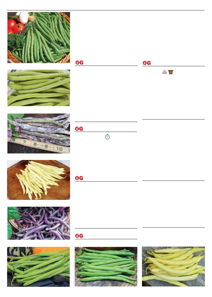 Flyer page 10