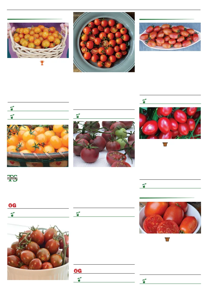Flyer page 100