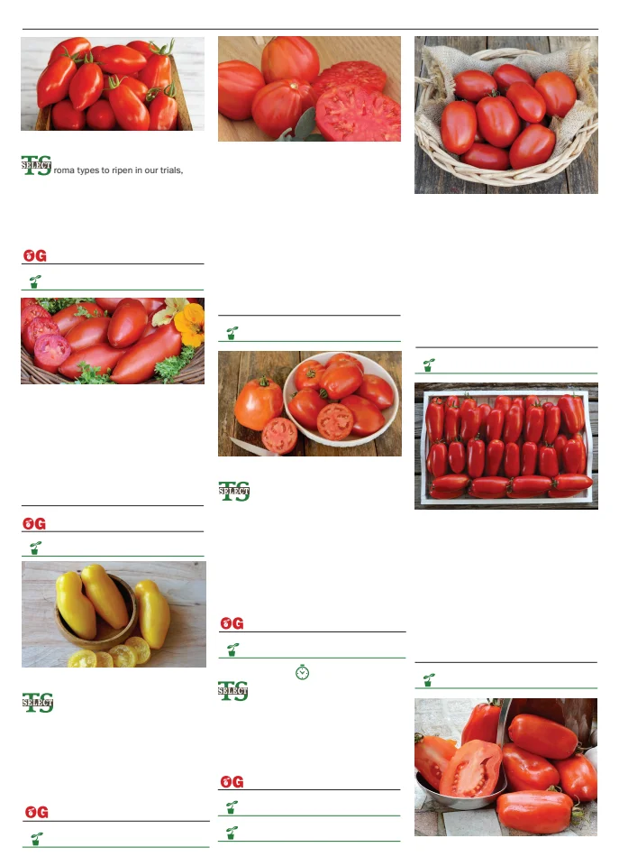 Flyer page 101