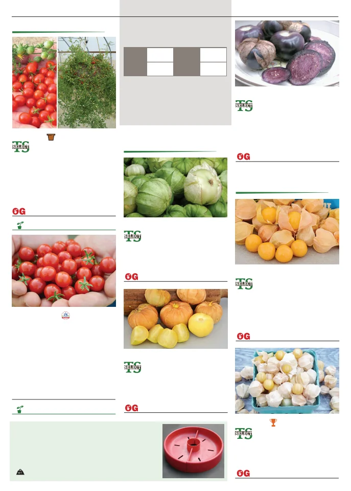 Flyer page 102