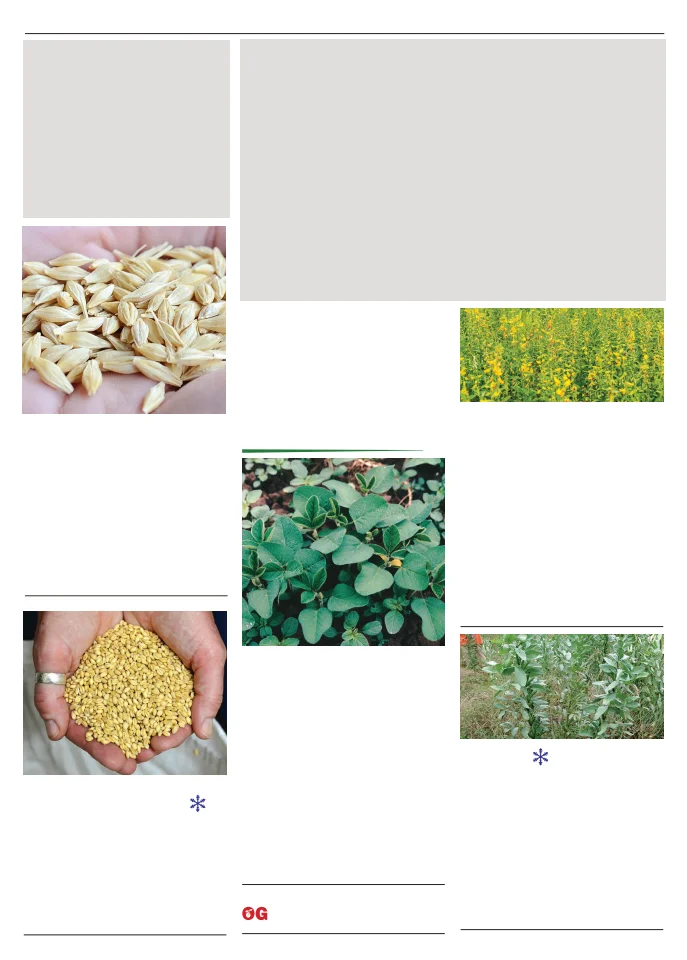 Flyer page 103