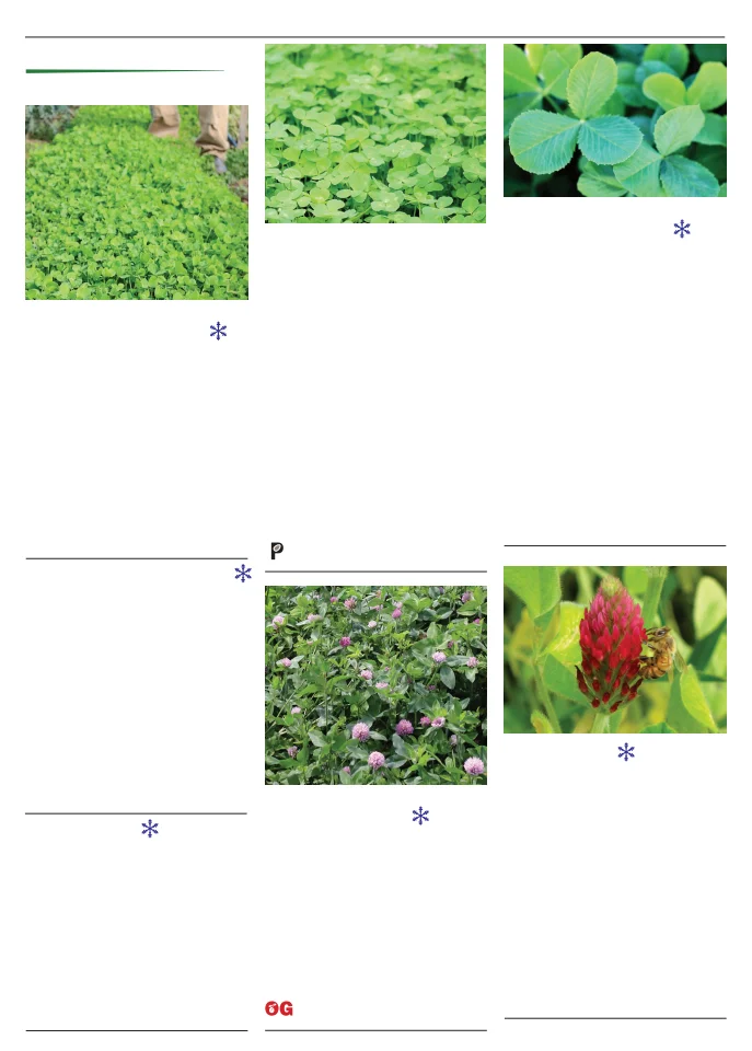 Flyer page 104