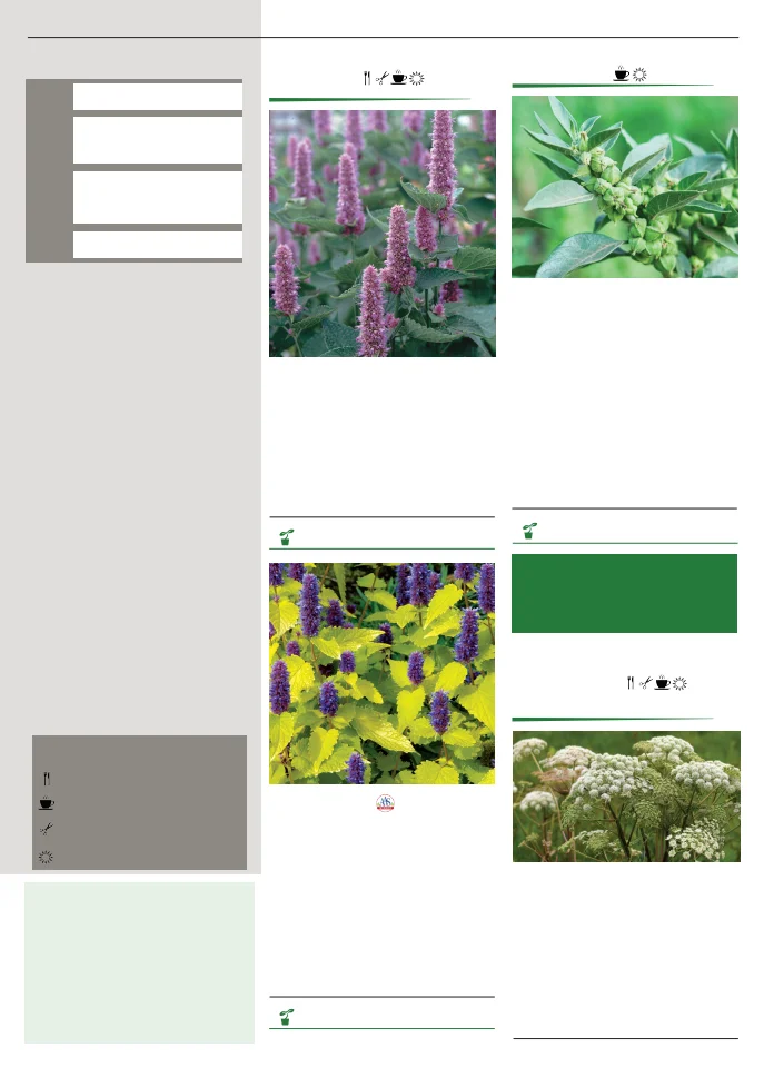 Flyer page 107