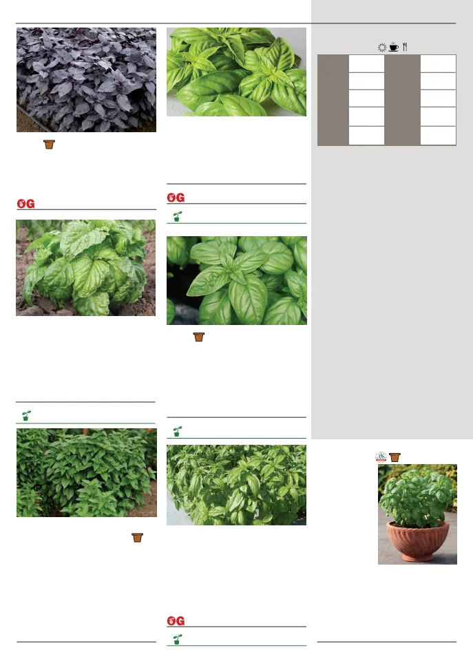 Flyer page 108