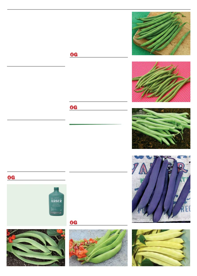 Flyer page 11