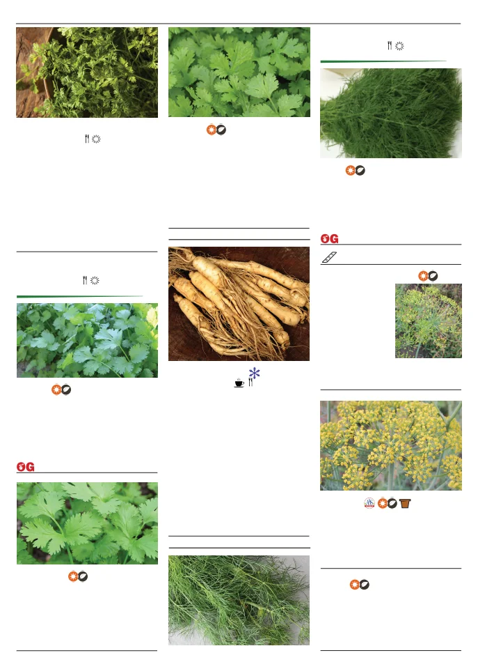 Flyer page 110