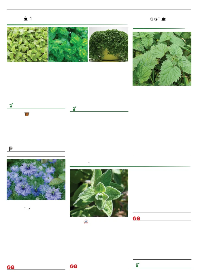 Flyer page 112