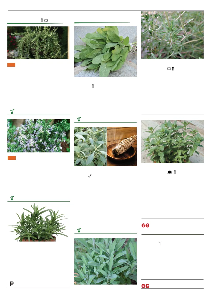 Flyer page 113