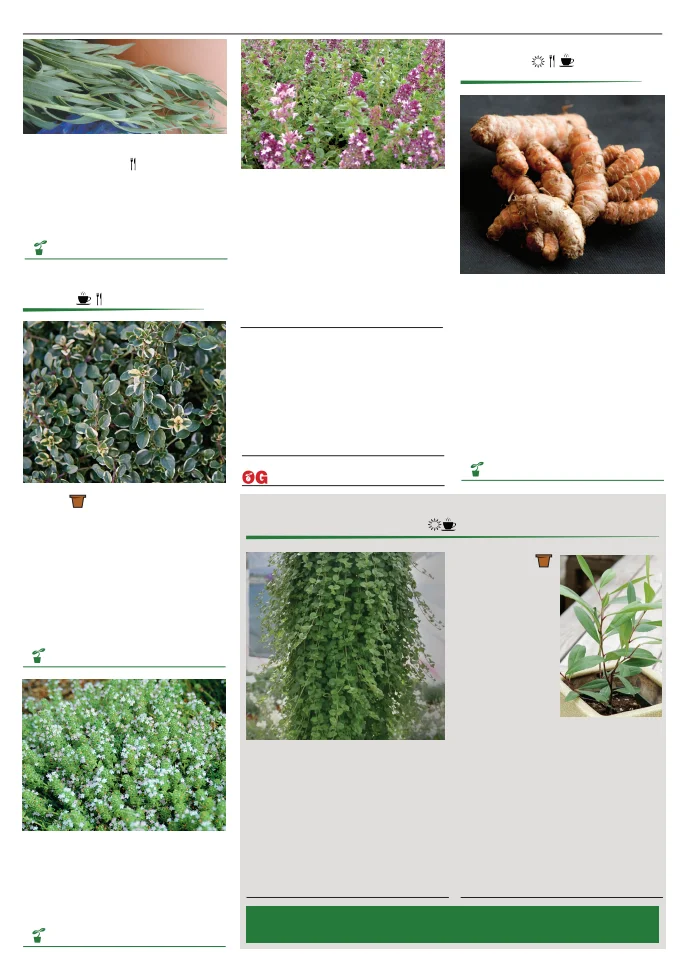 Flyer page 114