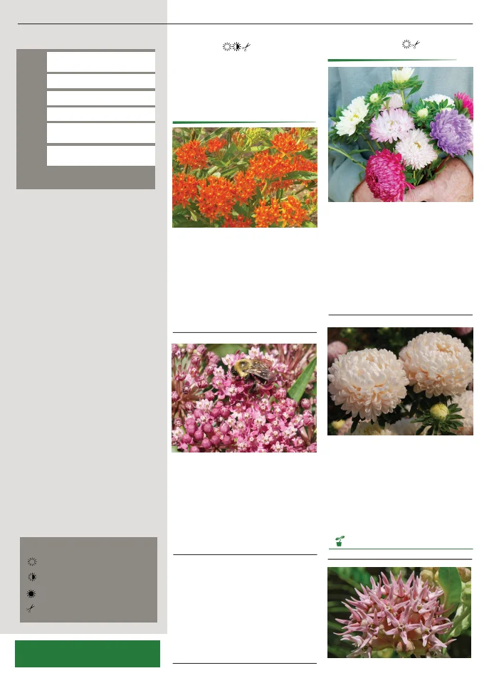Flyer page 115