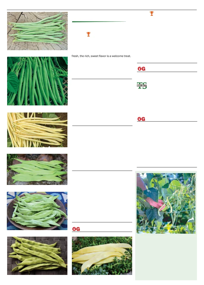 Flyer page 12