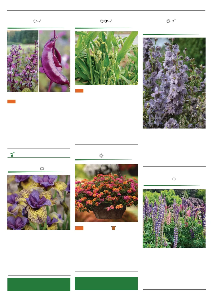 Flyer page 120