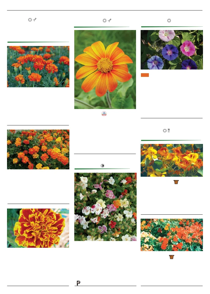 Flyer page 122