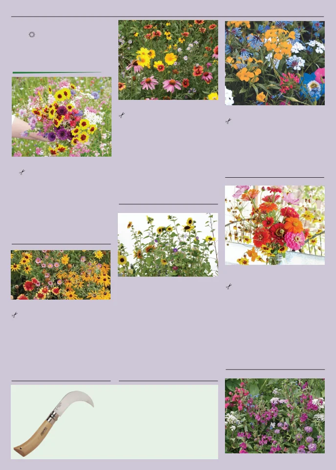 Flyer page 126