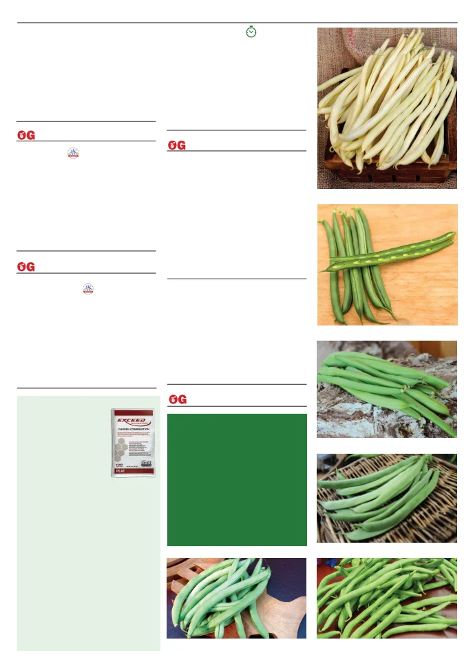 Flyer page 13