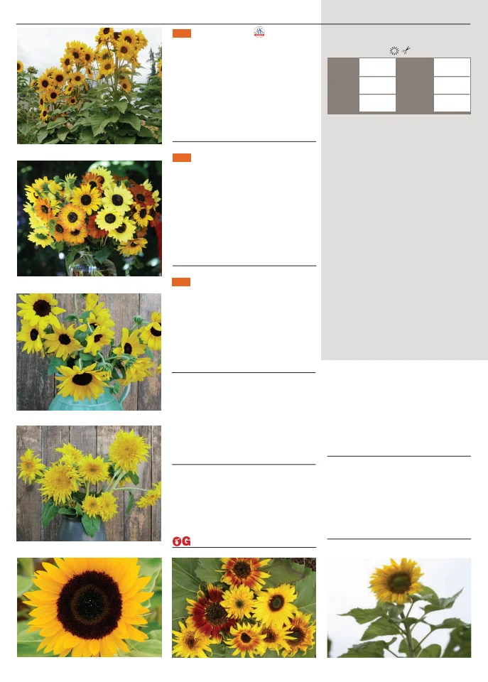 Flyer page 130
