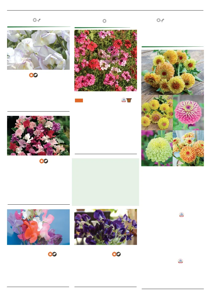 Flyer page 132