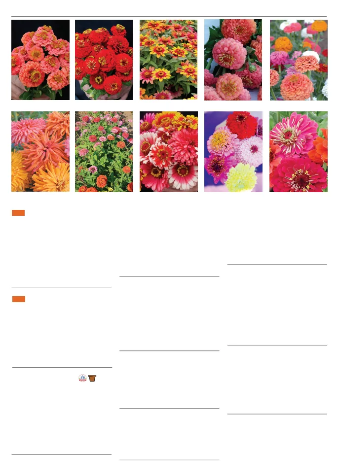 Flyer page 134