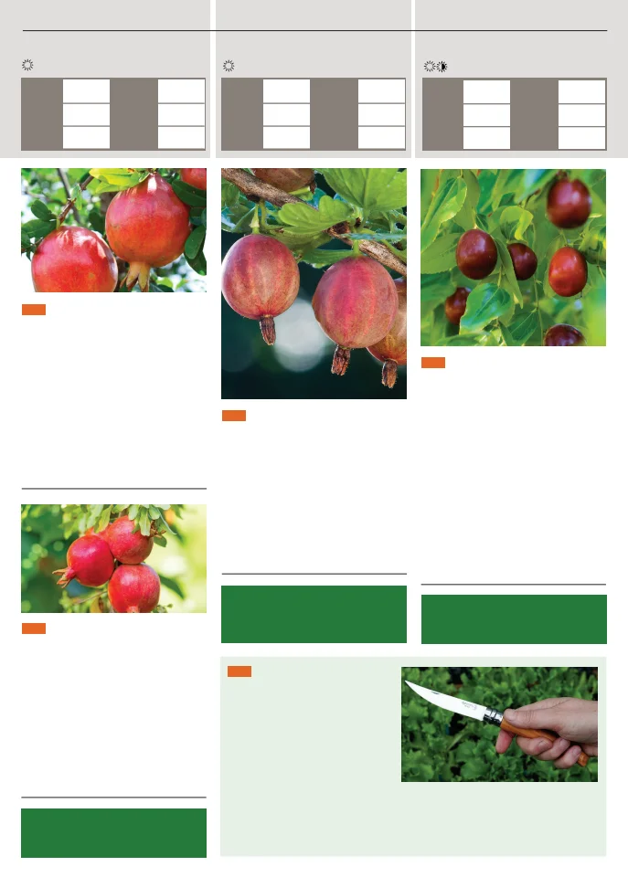 Flyer page 135