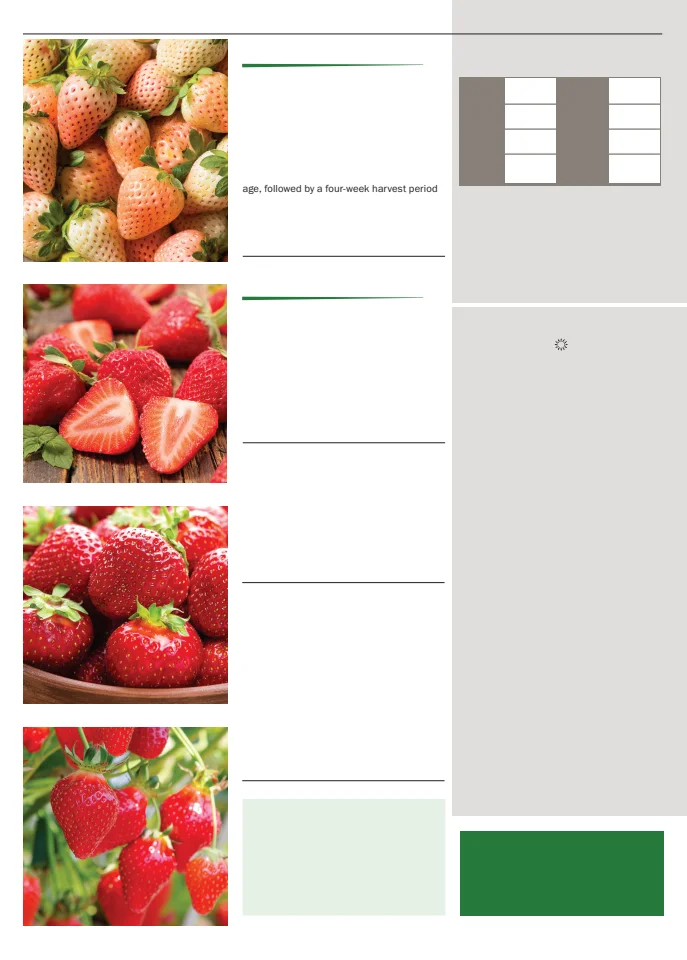 Flyer page 136