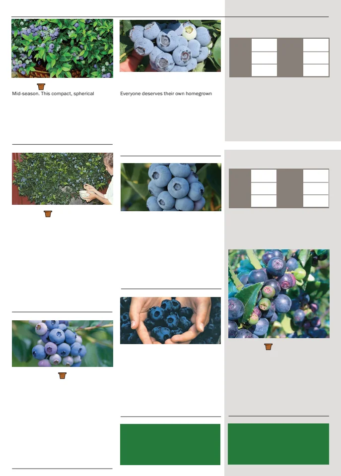 Flyer page 138