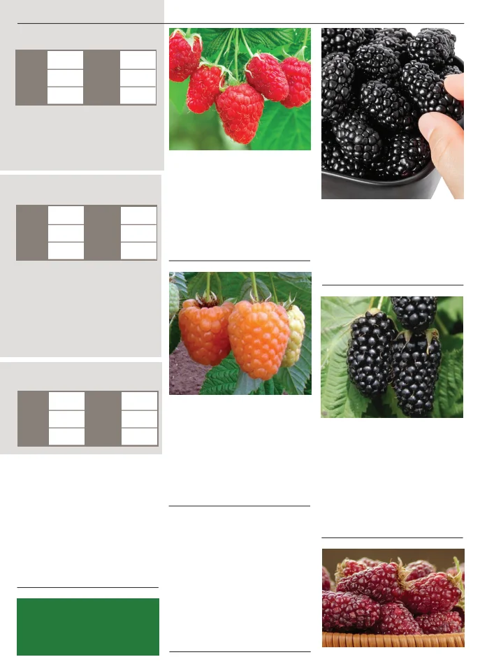 Flyer page 139