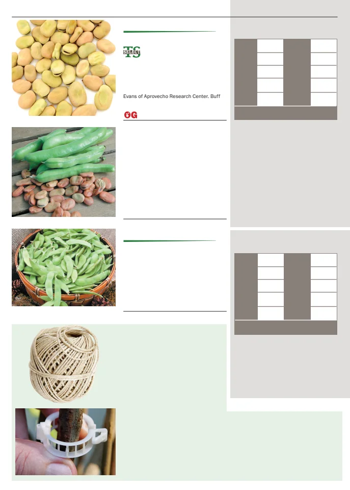 Flyer page 14