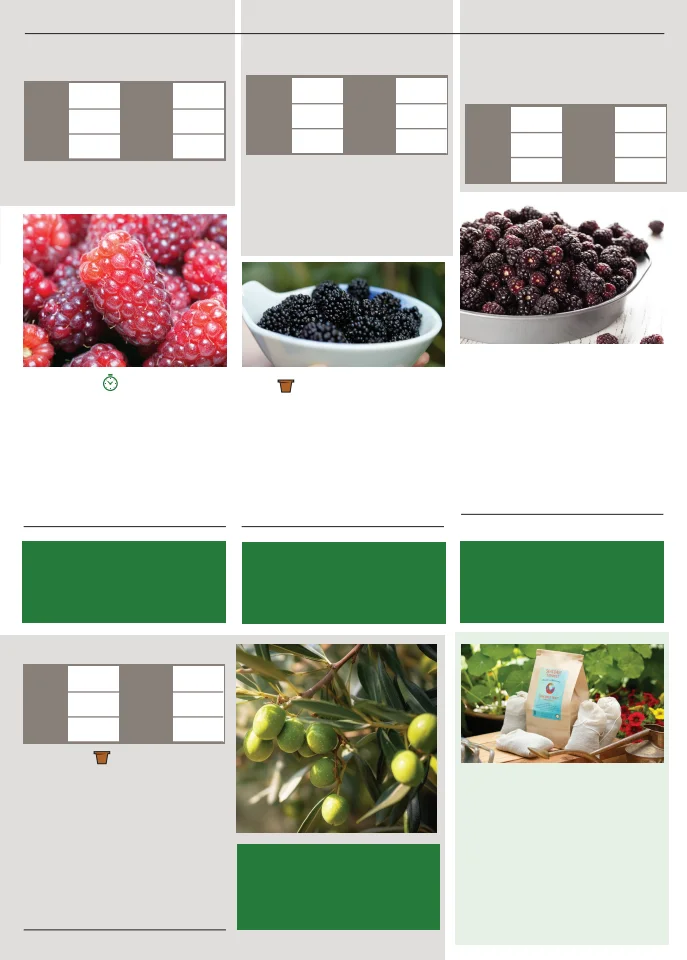 Flyer page 141