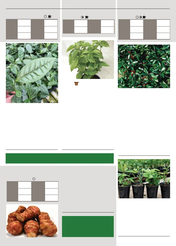 Flyer page 142