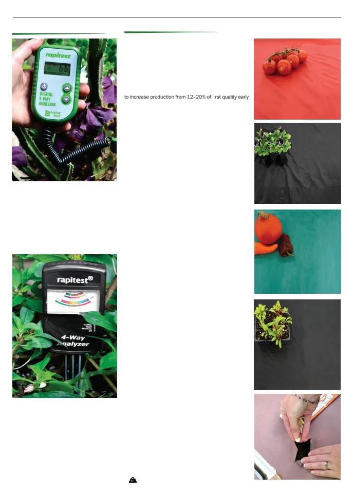 Flyer page 147