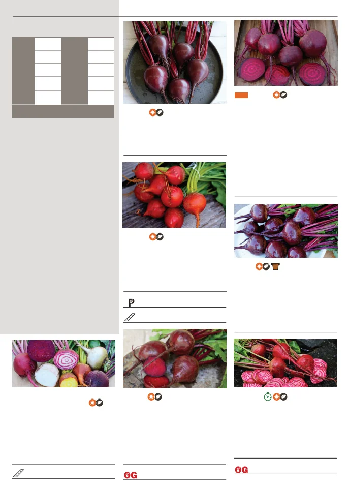 Flyer page 15