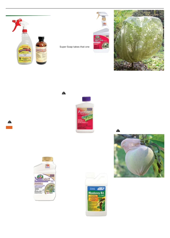 Flyer page 152
