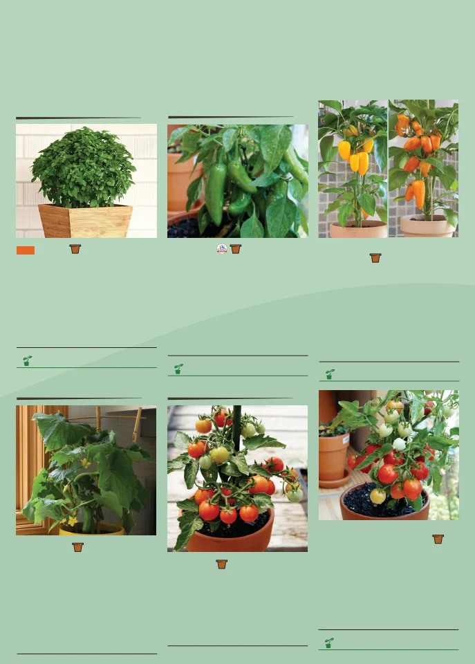 Flyer page 156