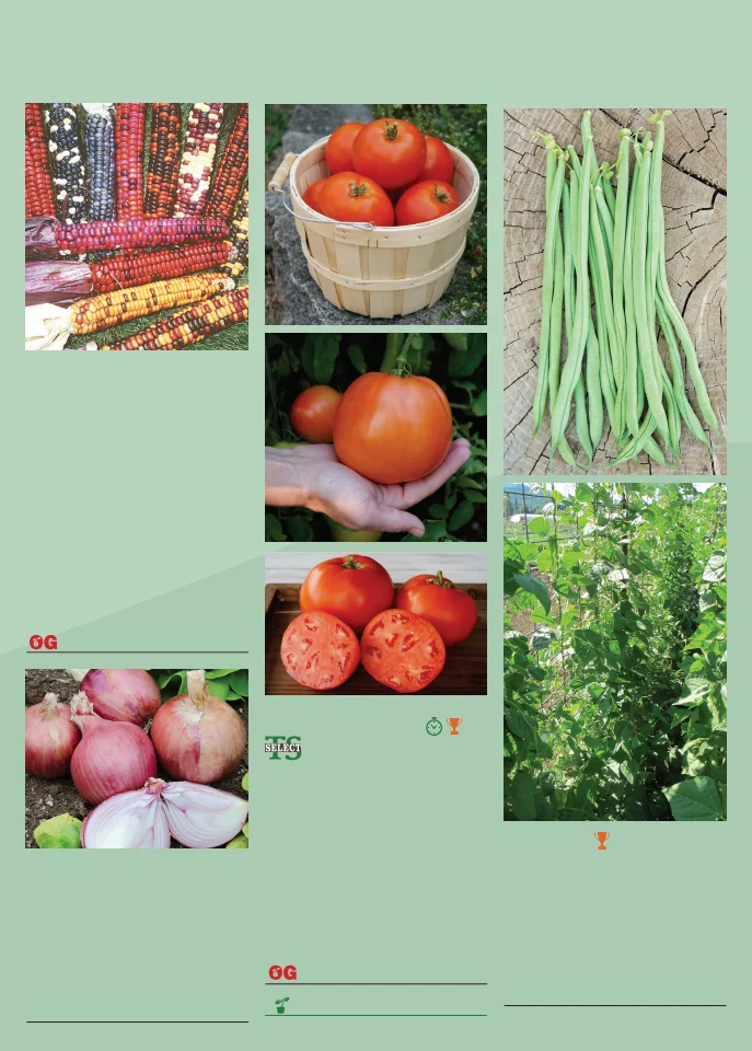 Flyer page 159