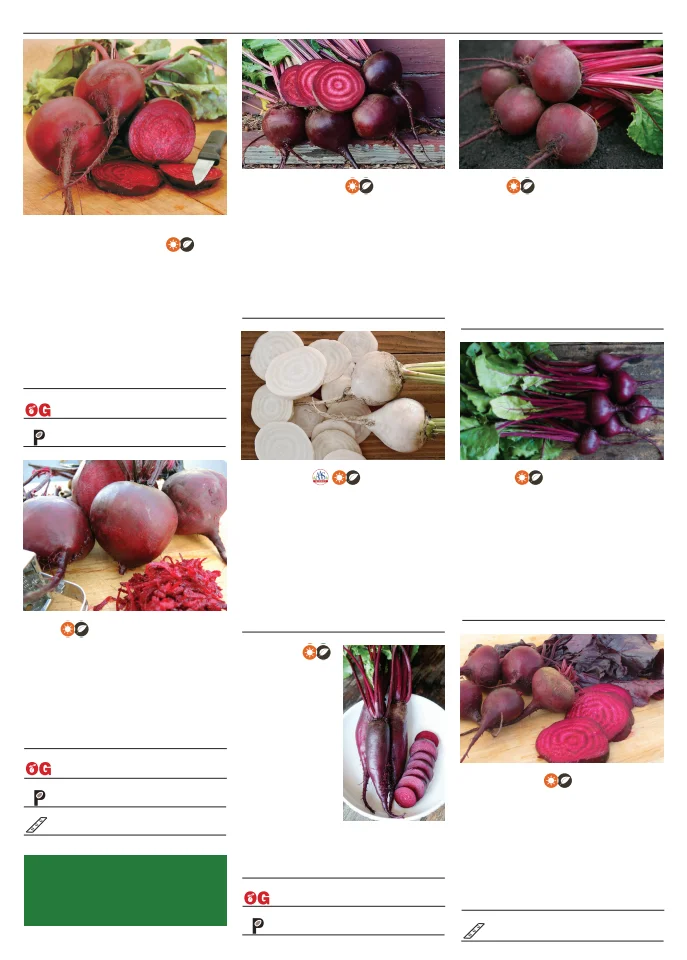 Flyer page 16