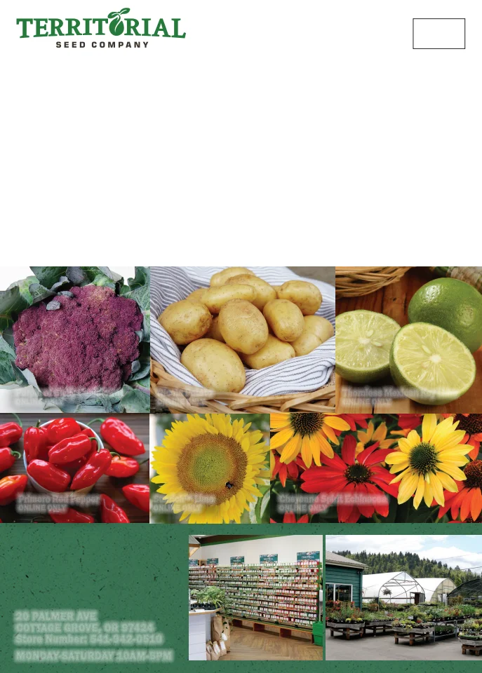 Flyer page 160
