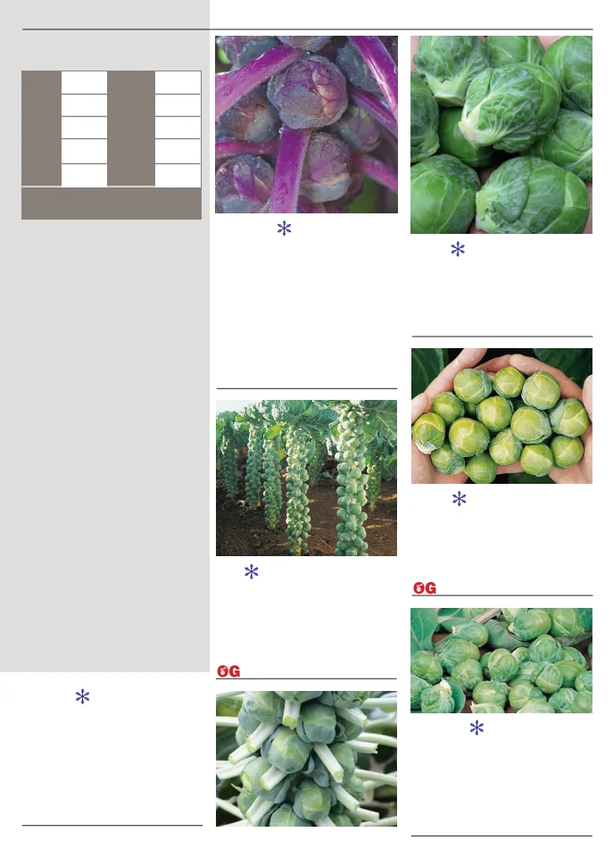 Flyer page 19