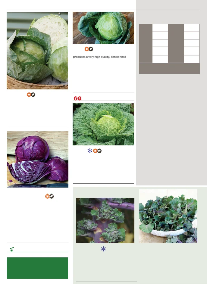 Flyer page 20