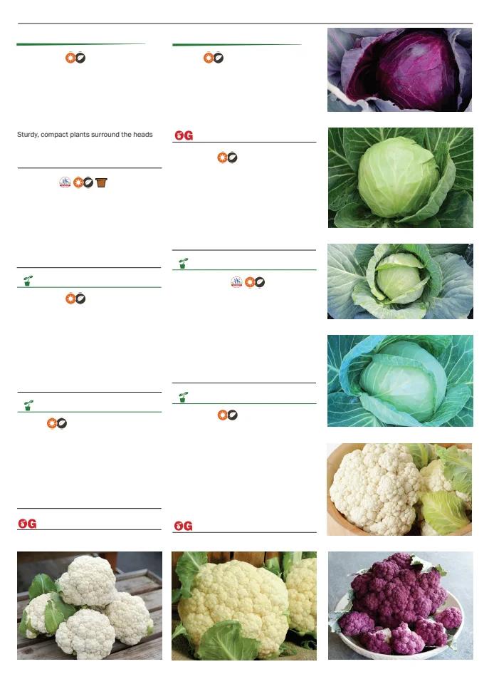Flyer page 21