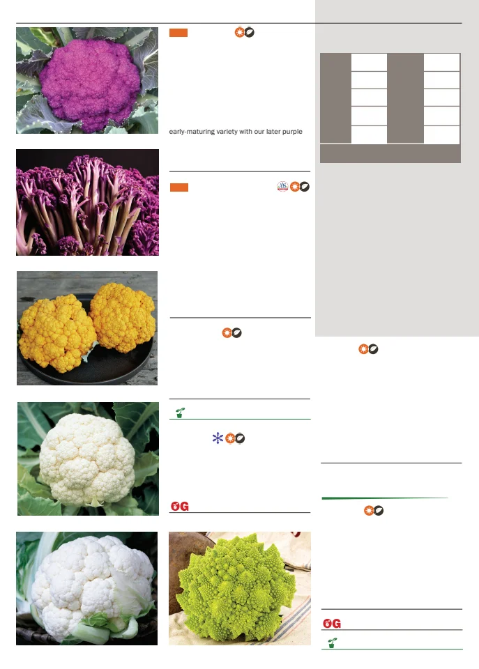 Flyer page 22