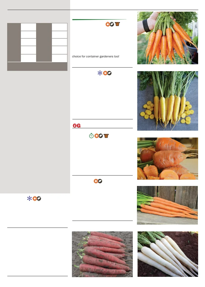 Flyer page 23