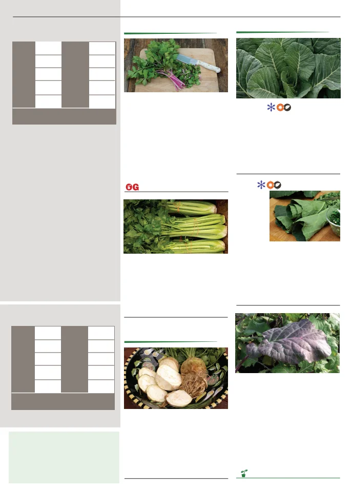 Flyer page 27