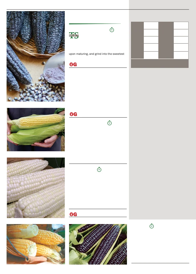 Flyer page 28